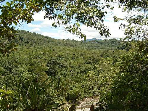 Национальный парк Тунари